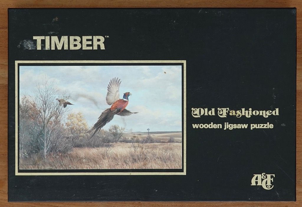 A male ring-necked pheasant takes flight over a dry, autumn field in a realistic nature painting.