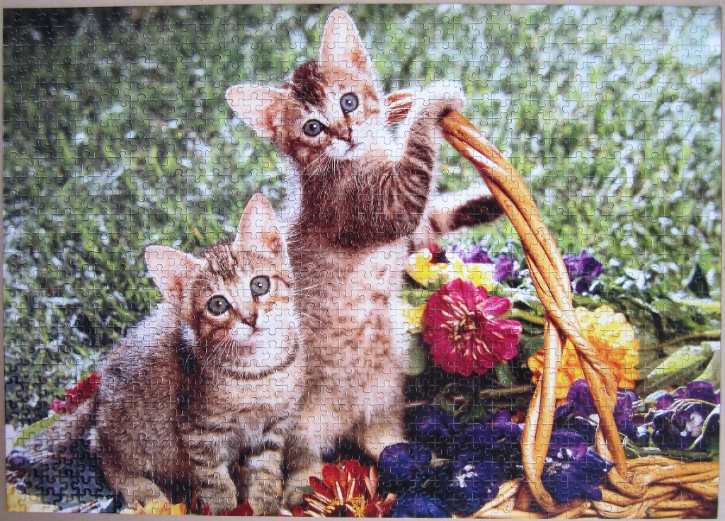 Two small, fluffy kittens standing next to a wicker basket filled with colorful flowers in a garden setting.