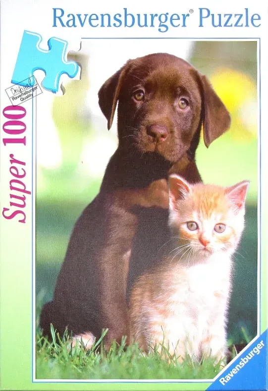 A close-up portrait of a chocolate Labrador puppy sitting side-by-side with a ginger tabby kitten in a grassy field.