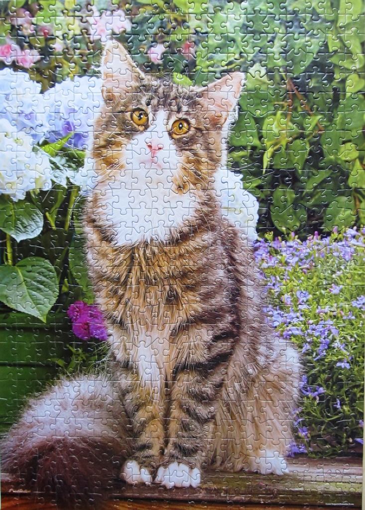A long-haired brown tabby cat with a white chest sitting in a lush flower garden.
