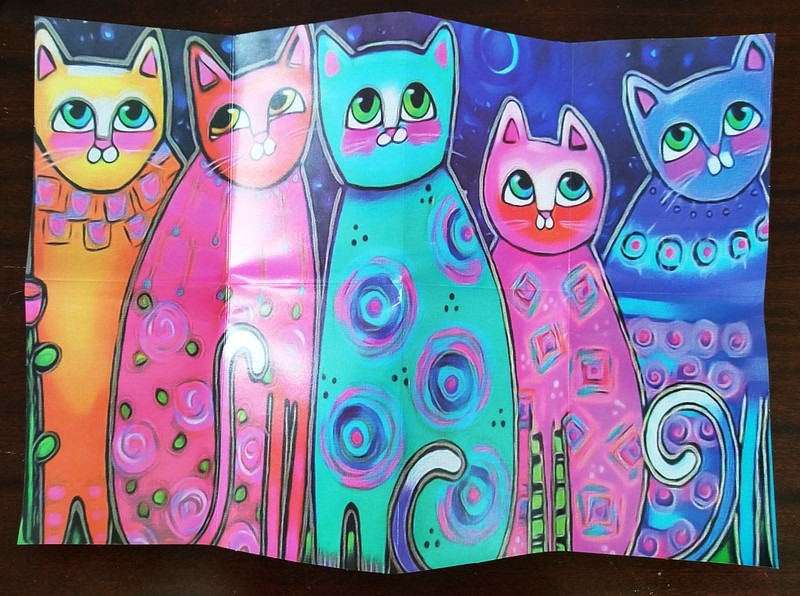 Five whimsical, brightly colored cats standing side-by-side against a starry, dark blue background.
