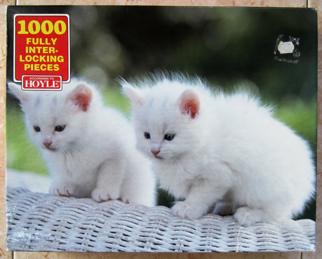Two fluffy white kittens sitting on a woven wicker surface against a blurred green background.