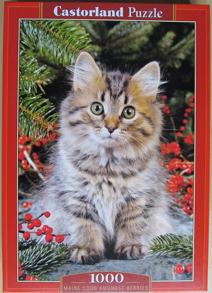 A close-up photograph of a fluffy tabby kitten sitting among pine branches and red winter berries.