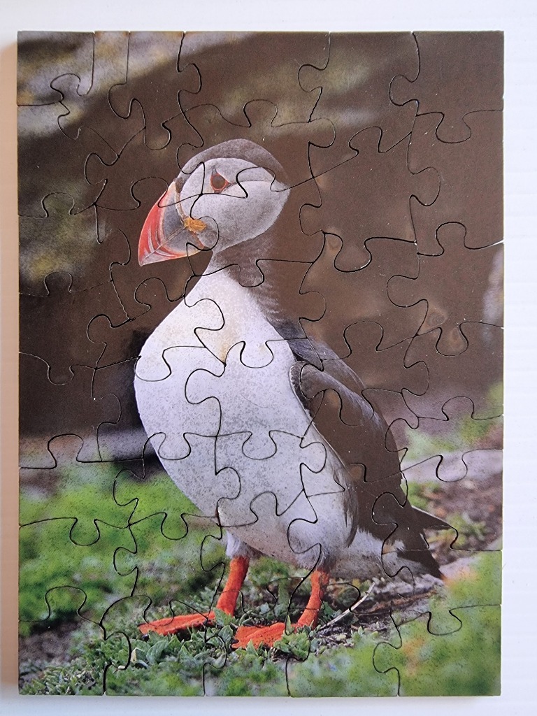 A close-up photograph of an Atlantic puffin standing on a patch of green moss and rocks.