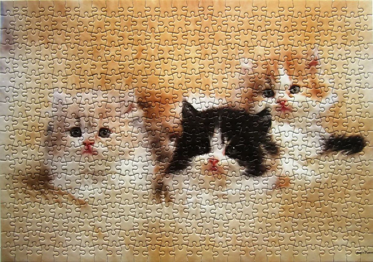 Three fluffy kittens peeking out against a soft, tan background