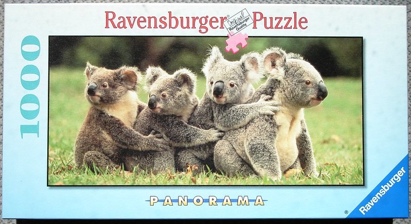 Four koalas sitting closely together in a grassy field.