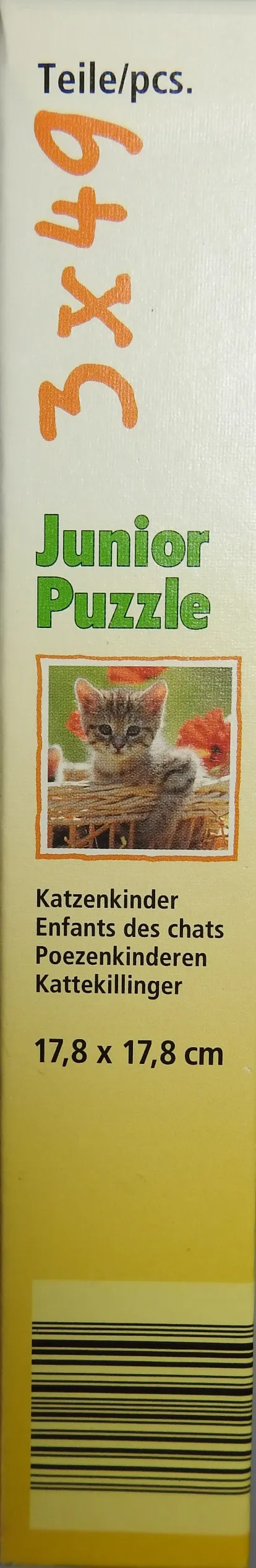 Katzenkinder