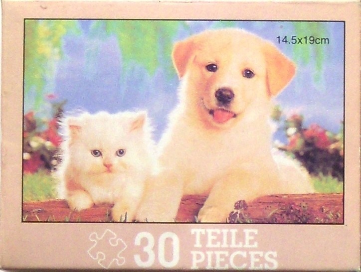 A fluffy white kitten and a light golden puppy sitting side by side in a garden.