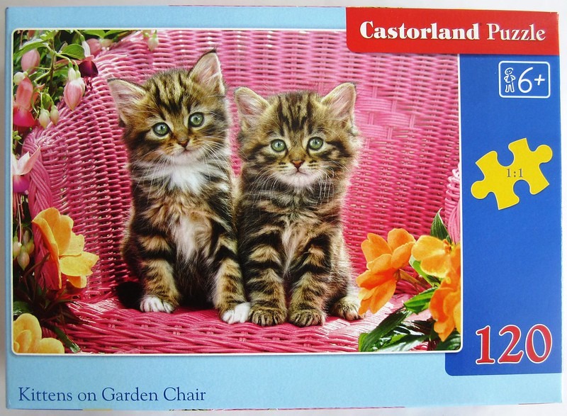 Two fluffy tabby kittens sitting side-by-side on a bright pink wicker garden chair surrounded by flowers.