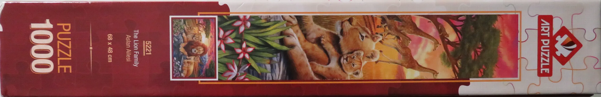 The Lion Family