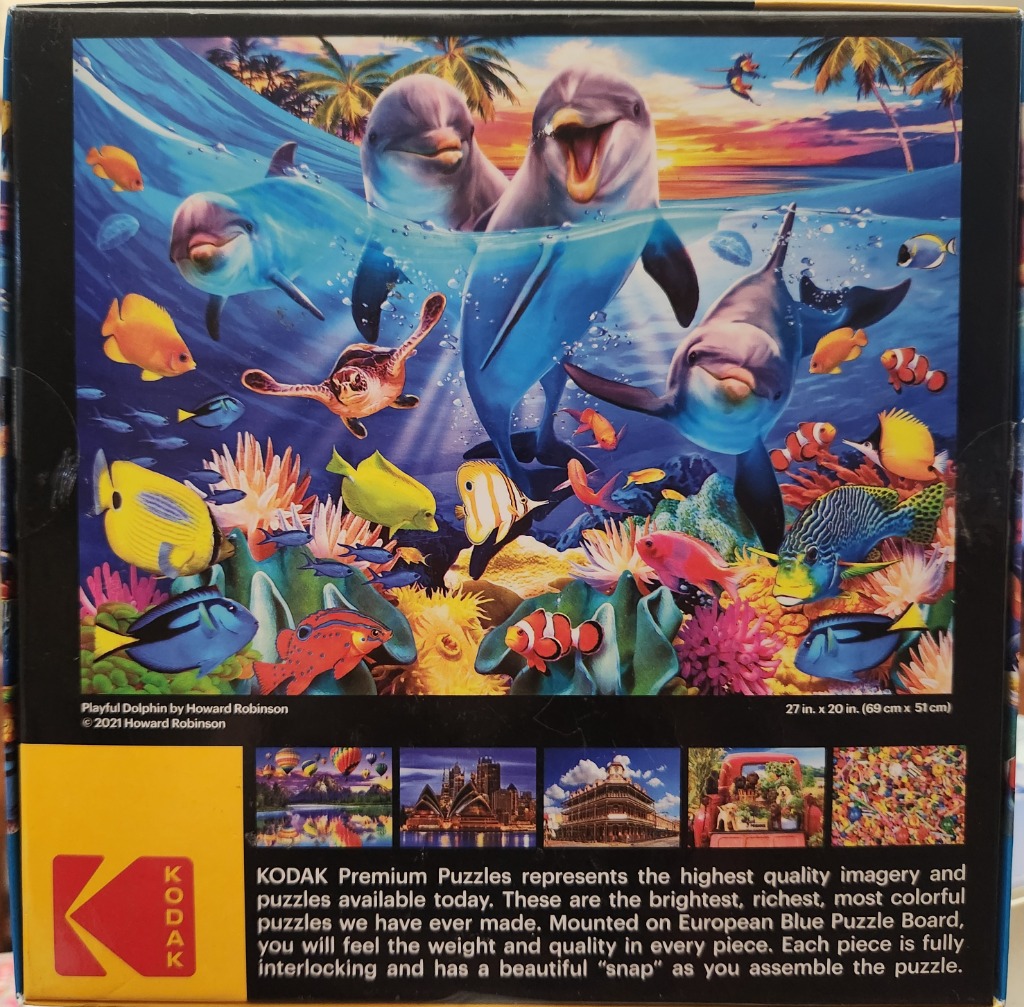 Playful Dolphin