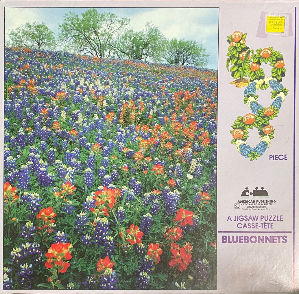 A lush Texas meadow filled with bluebonnets and orange Indian paintbrush flowers under a bright sky.