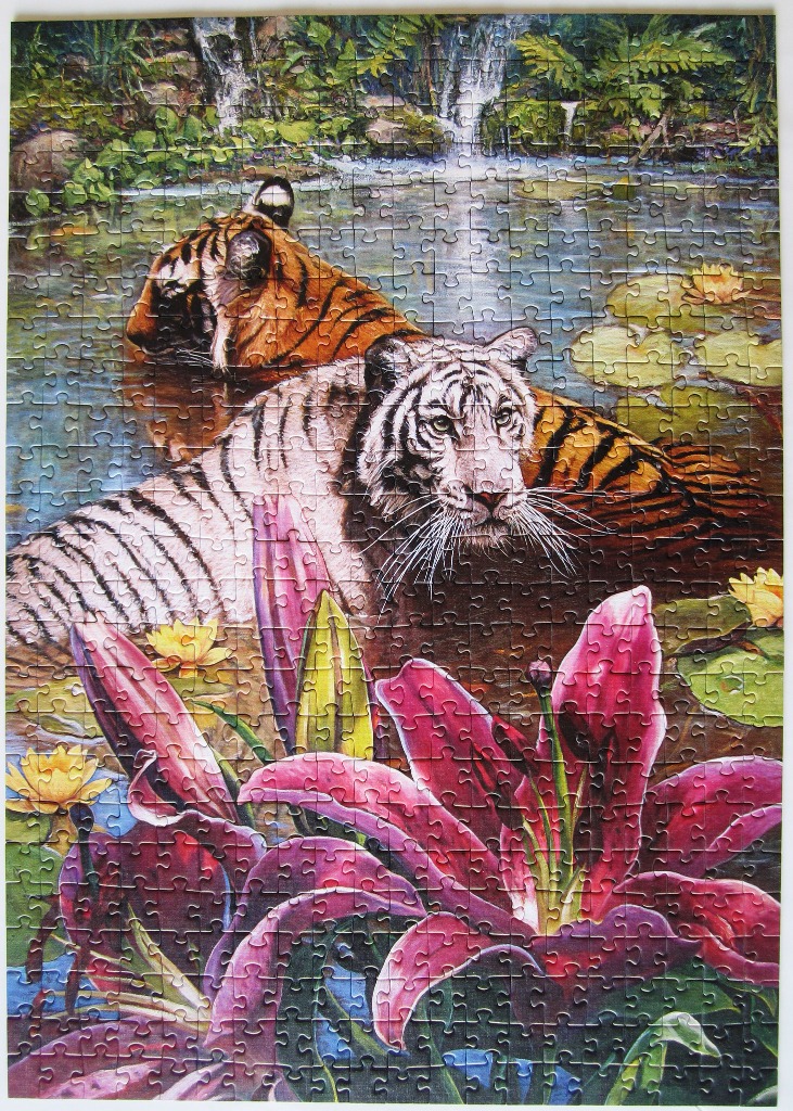 A white tiger and a Bengal tiger resting in a pond filled with lilies and water flowers.
