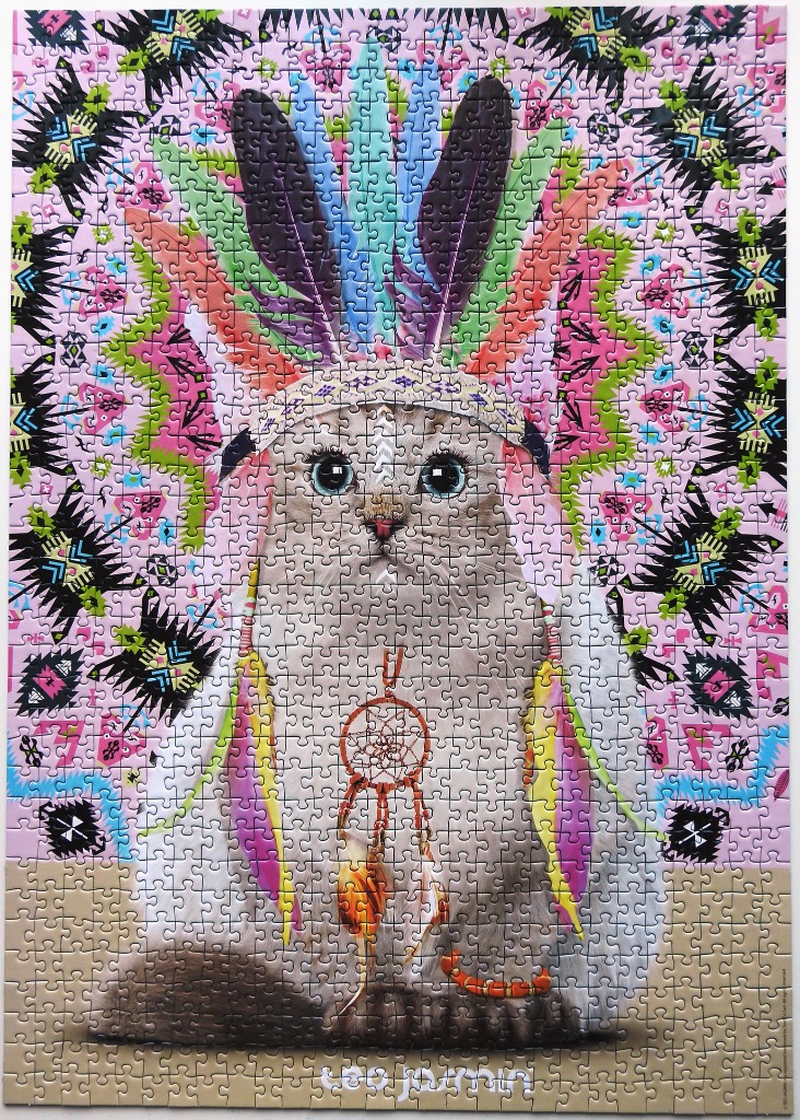 A whimsical illustration of a cat wearing a feathered headdress and a dreamcatcher necklace against a patterned backdrop.