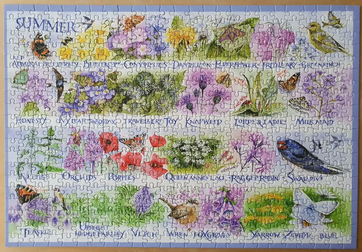 A botanical and wildlife illustration titled Summer, featuring various flowers, butterflies, and birds.