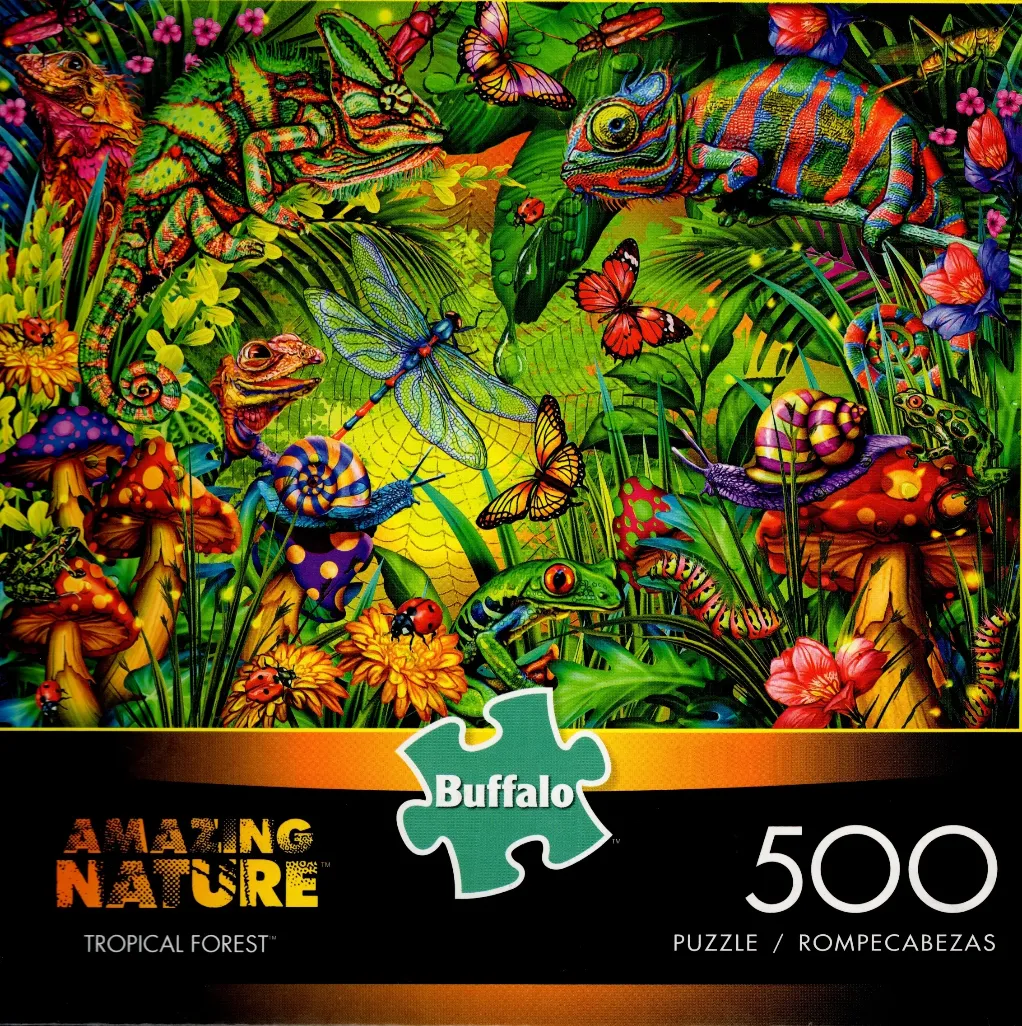 Vibrant, colorful illustration of chameleons, frogs, snails, and butterflies in a lush tropical forest setting.