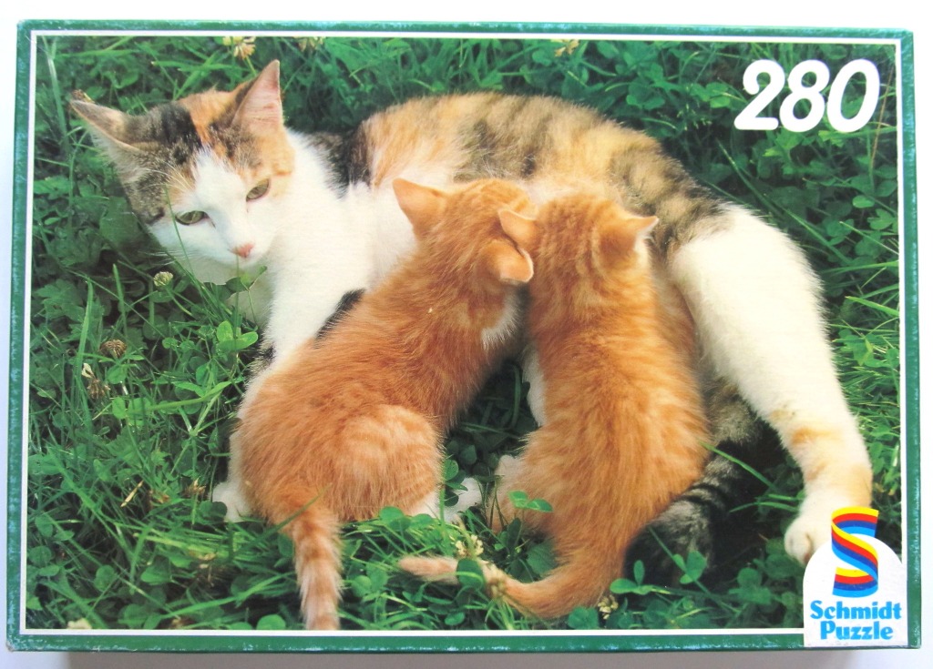 A calico mother cat nursing two orange tabby kittens in a patch of green grass.