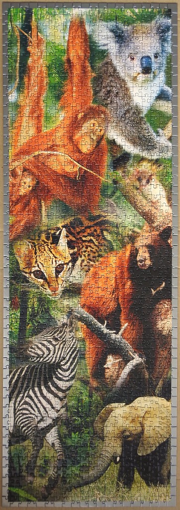 Collage of various wildlife animals in a lush forest setting.