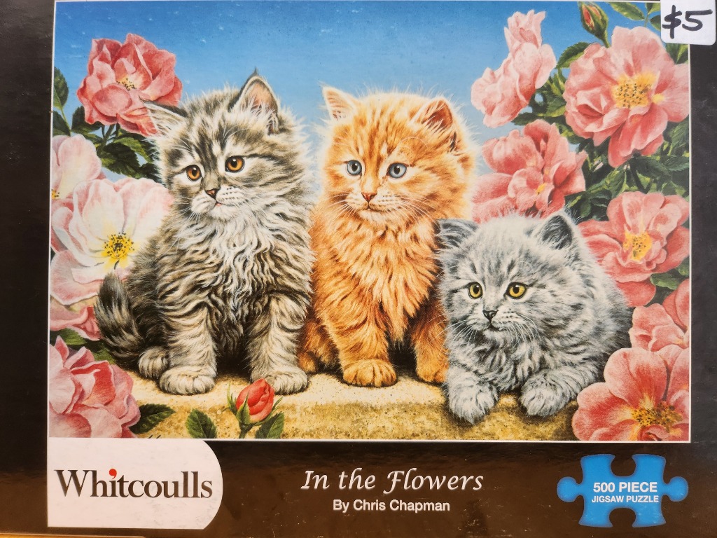 Three fluffy kittens sitting amongst blooming pink roses against a blue sky.