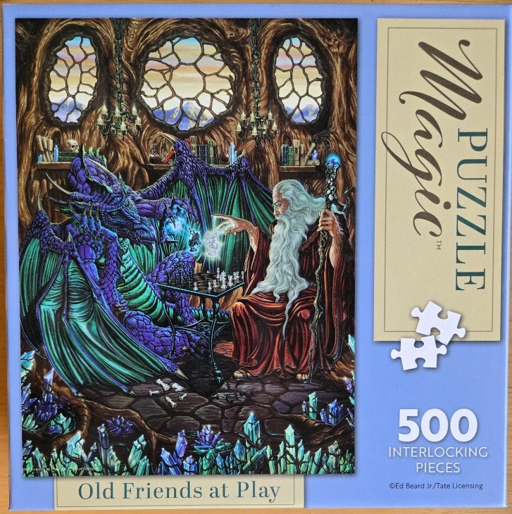 A fantasy illustration of a wizard and a dragon playing chess inside a cavernous tree room.