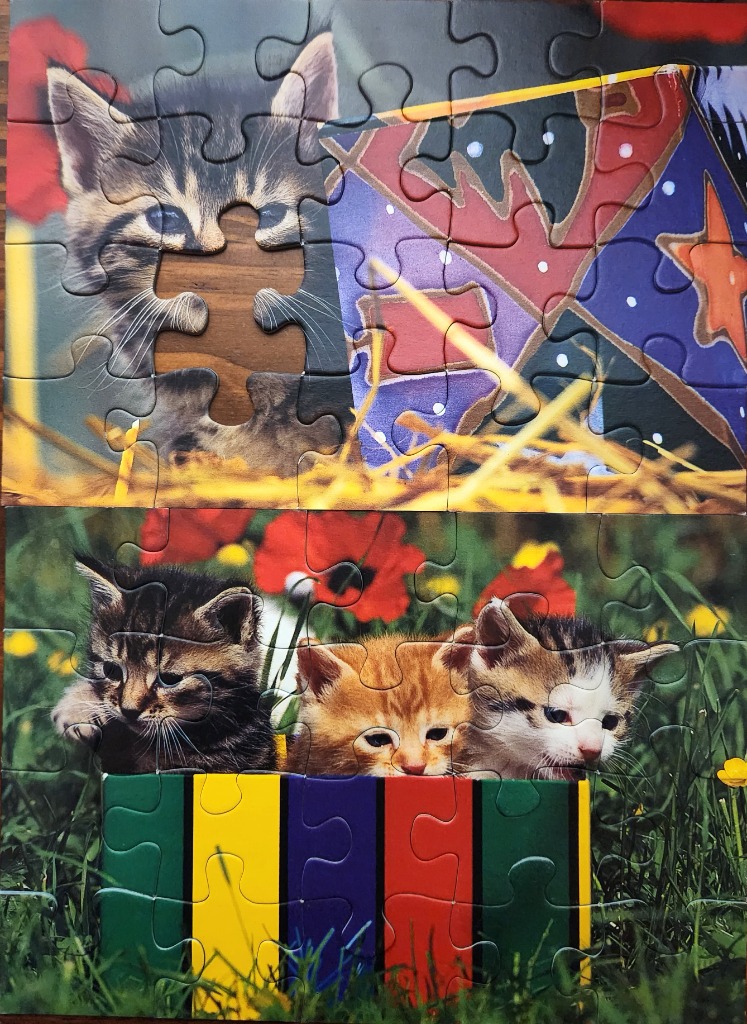 A composite image of kittens in colorful boxes amidst grass and flowers.