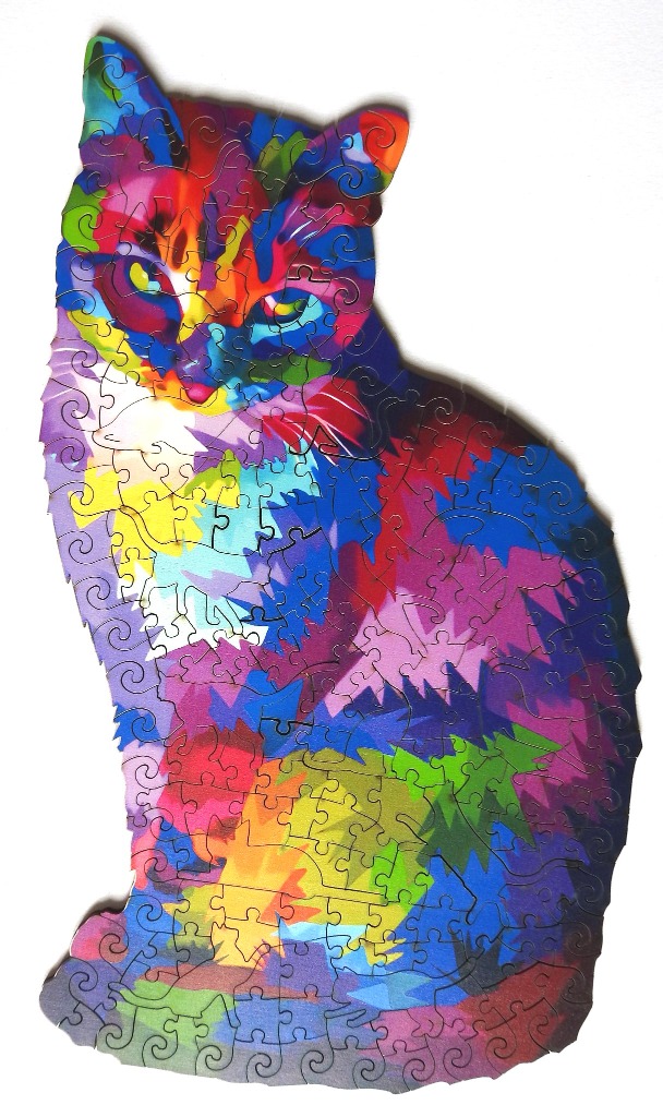 A vibrantly coloured, stylized portrait of a sitting cat in a pop art or abstract rainbow style.