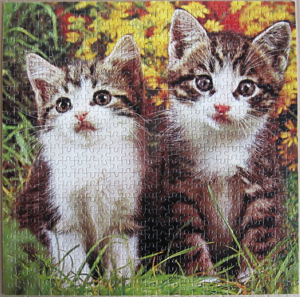 Two young tabby and white kittens sitting in a vibrant garden.