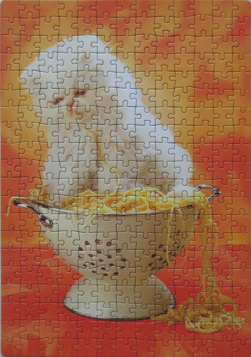 A fluffy white Persian cat sitting inside a metal colander filled with spaghetti against a bright orange background.