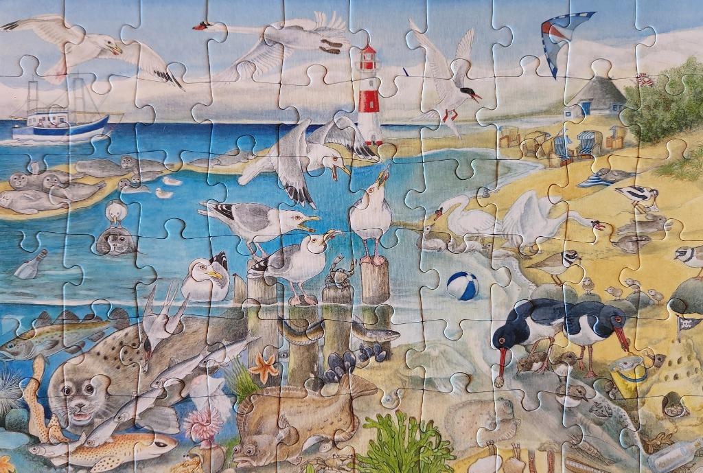 A detailed watercolor illustration of a bustling coastal scene featuring various birds, seals, fish, and a lighthouse.