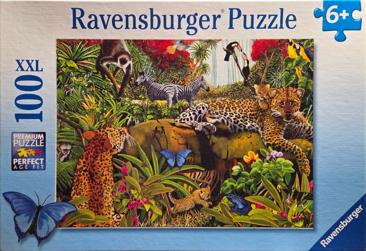A lush, detailed illustration of a jungle scene featuring leopards, zebras, toucans, and butterflies.