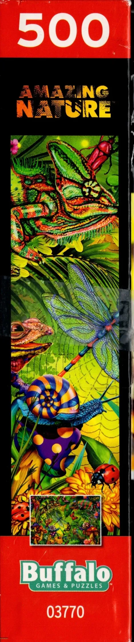 Tropical Forest