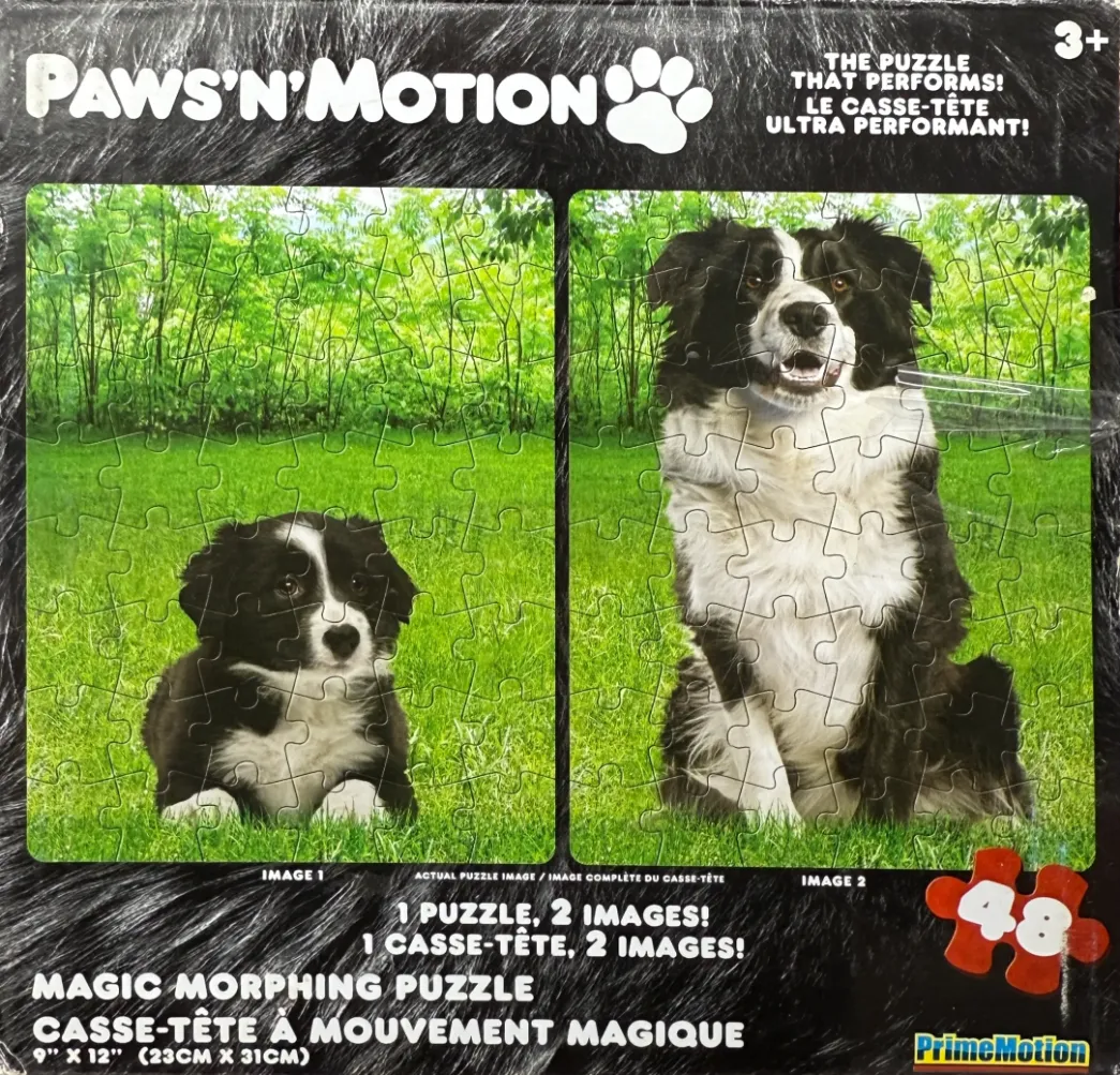 Paws'n'Motion