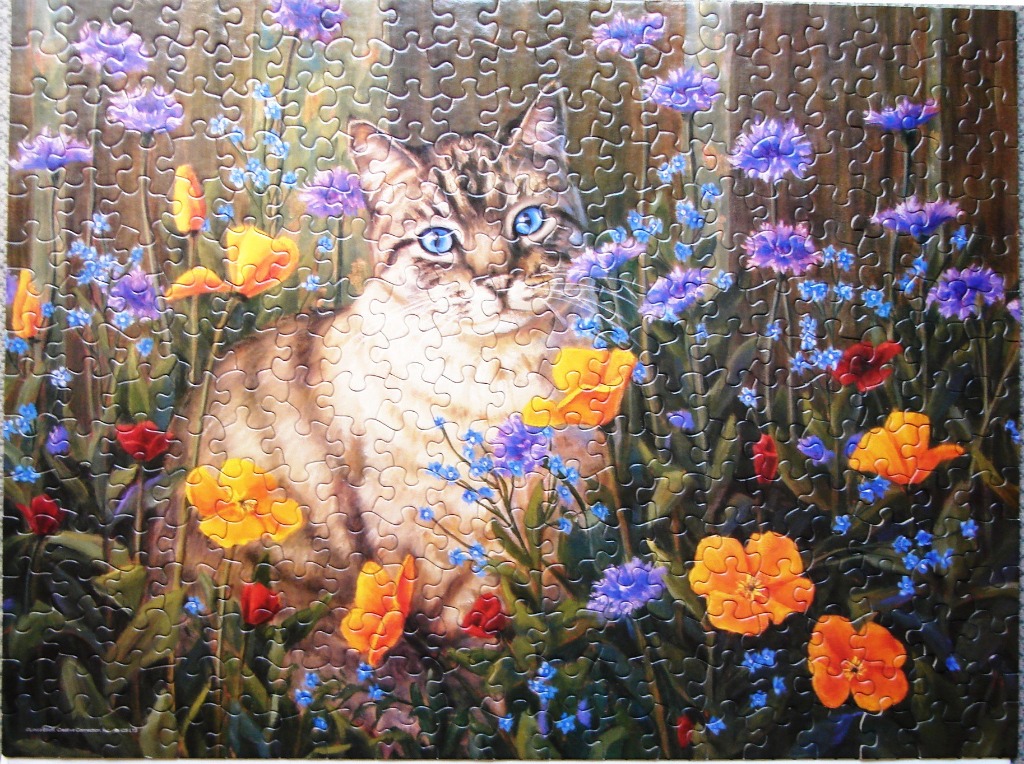 A tabby cat with striking blue eyes sitting in a field of orange poppies and purple cornflowers.
