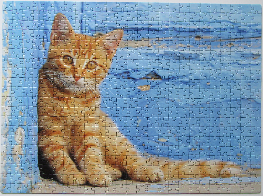 An orange tabby cat sitting against a distressed, light blue wooden wall.