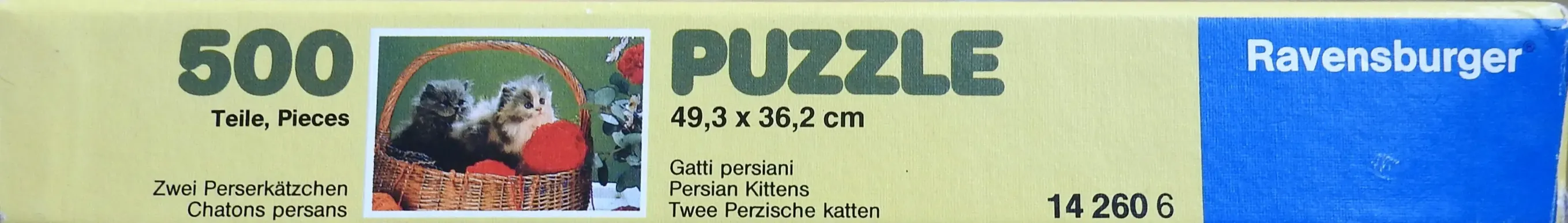 Zwei Perserkätzchen