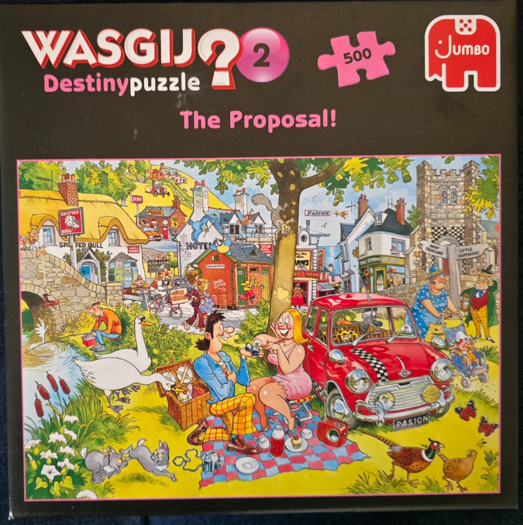 A comedic cartoon scene showing a man proposing to a woman on a picnic blanket next to a red mini car.