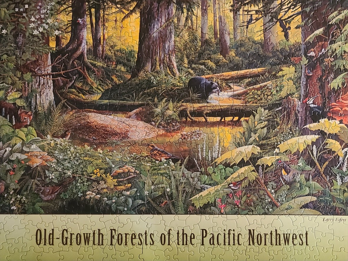 Illustration of an old-growth forest in the Pacific Northwest featuring wildlife by a stream.
