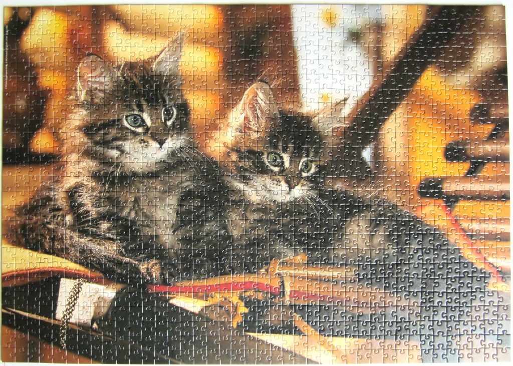 Two fluffy tabby kittens sitting together against a warm, glowing, out-of-focus background.