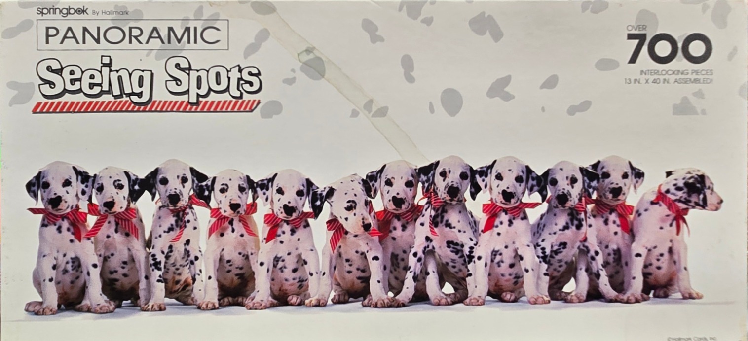 A line of eleven Dalmatian puppies wearing red striped bows sitting against a plain white background.