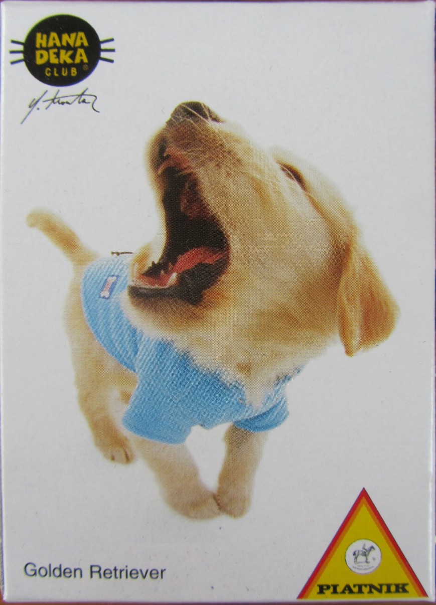 A close-up photograph of a Golden Retriever puppy wearing a light blue shirt and yawning wide against a white background.