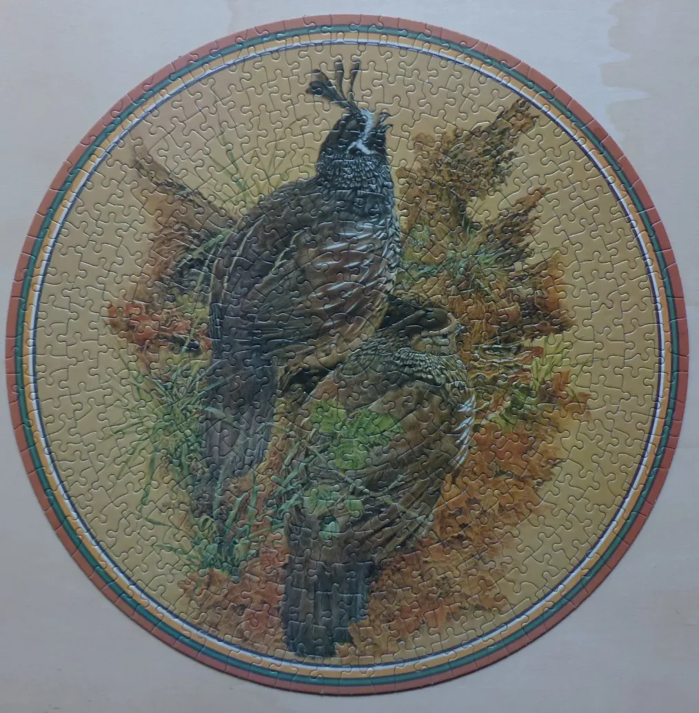 Circular illustration of two California quails standing in brush and dry grasses.