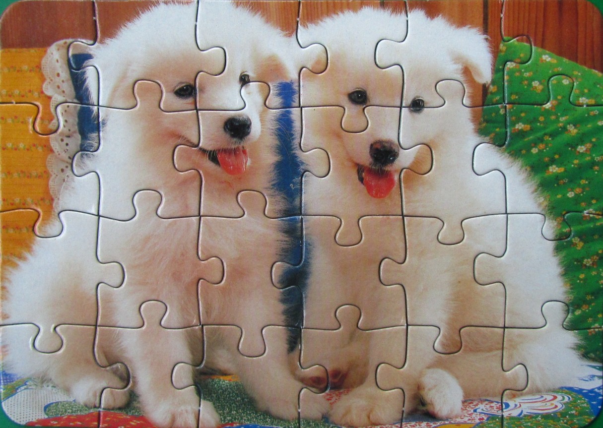 Two fluffy white Samoyed-type puppies sitting side by side against a colourful background