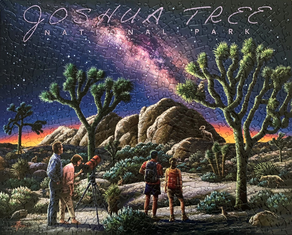 A nighttime scene at Joshua Tree National Park featuring a starlit sky, desert landscape, and stargazers.