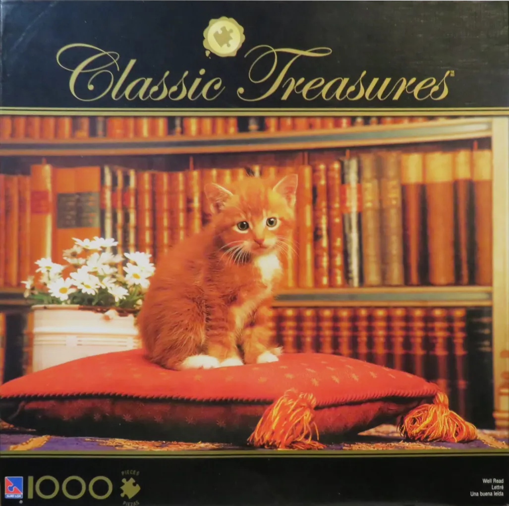 A fluffy orange kitten sits on a red tasseled cushion in front of a library bookshelf.
