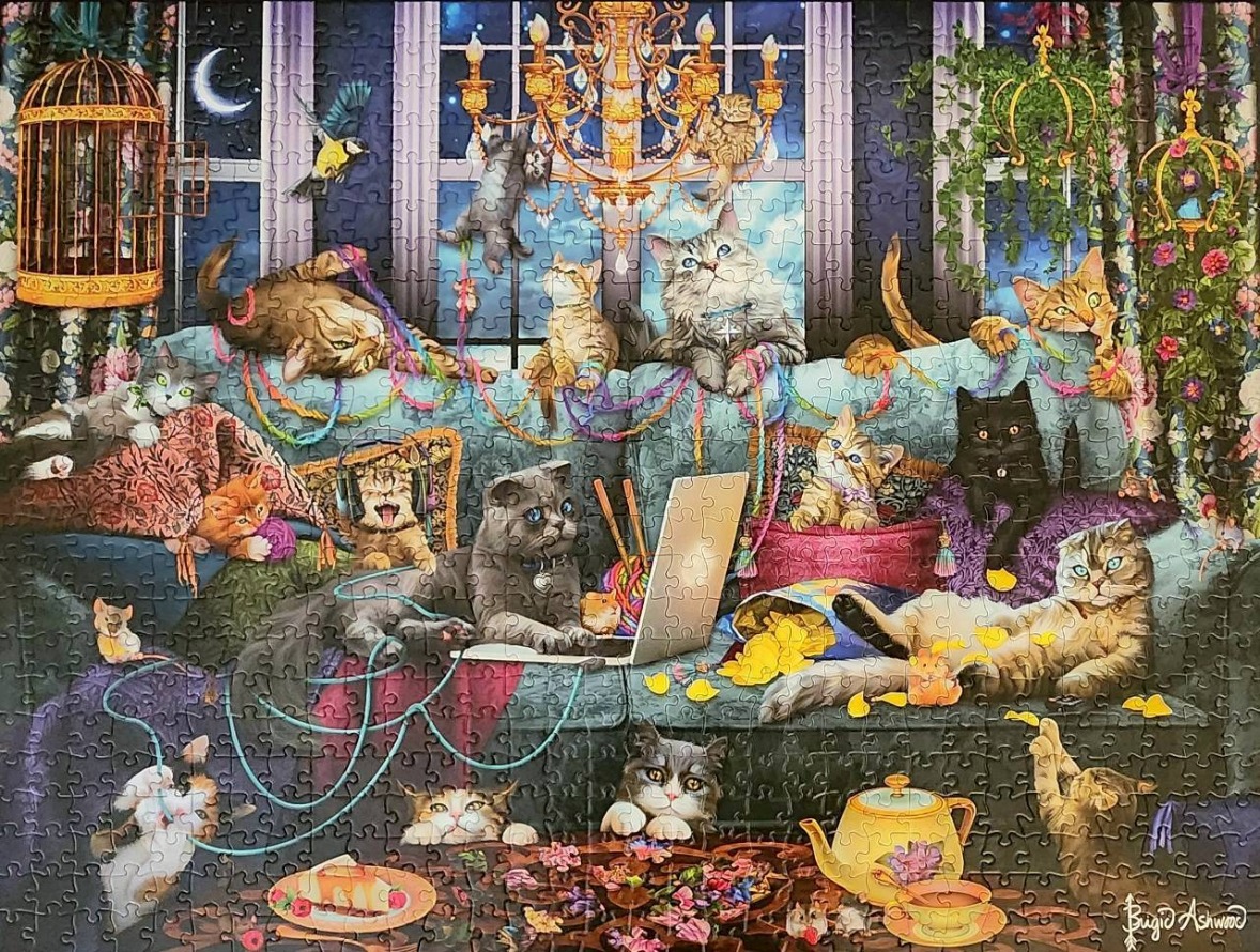 A lively scene of many cats playing on a large blue sofa in a room at night with a chandelier and star-filled window.