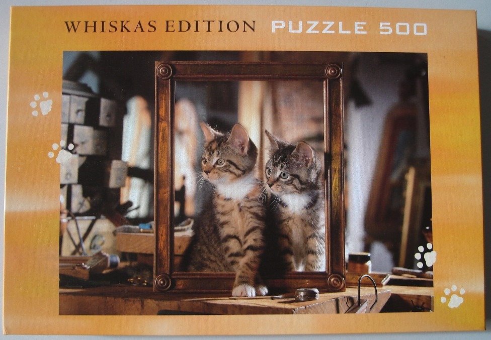 Two small tabby kittens sit together inside an empty wooden picture frame on a wooden workbench.