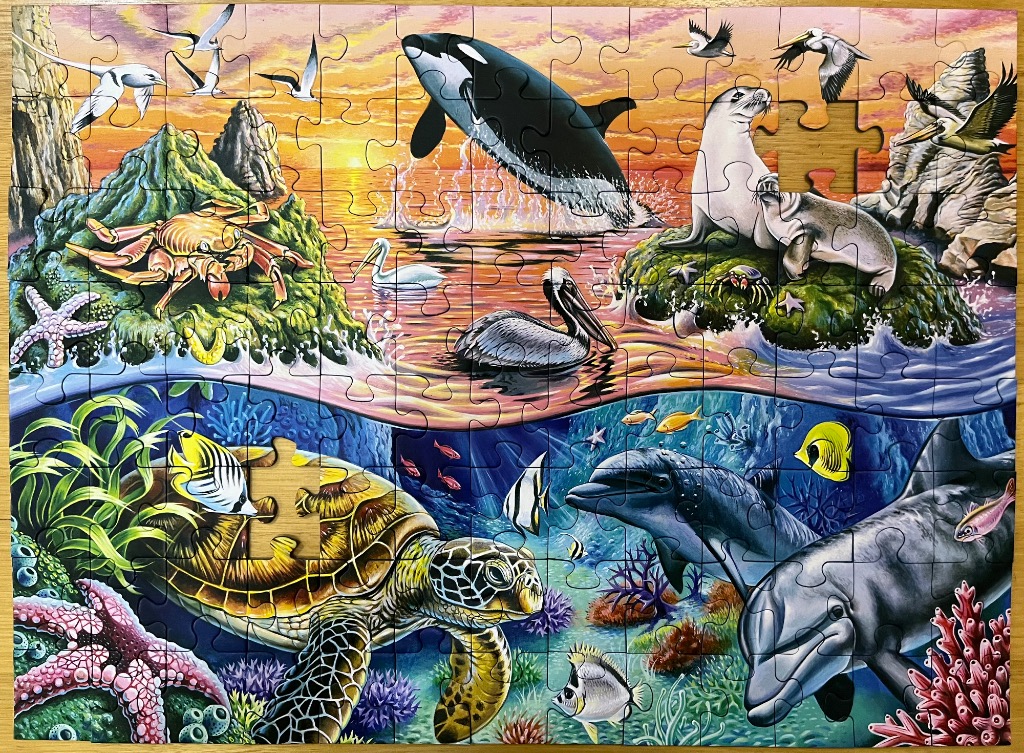A split-scene illustration featuring diverse marine life above and below the ocean surface at sunset.