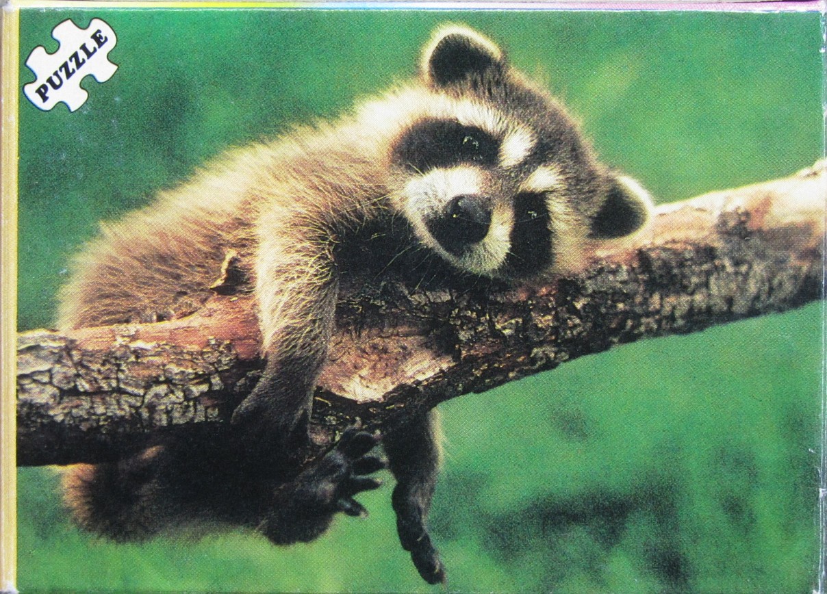A close-up photograph of a baby raccoon lying flat against a thick tree branch against a blurred green background.