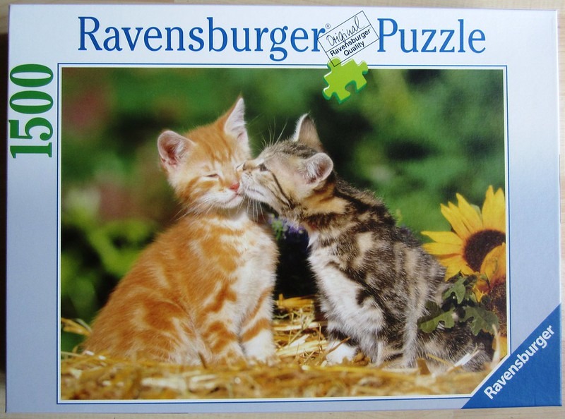 Two kittens, one orange tabby and one calico, nuzzling each other on a bed of straw.