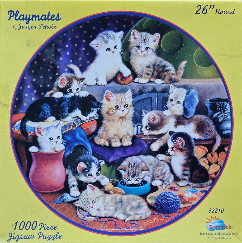 An illustration of ten fluffy kittens playing and resting in a cozy, cluttered room.